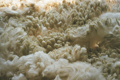 Climate Beneficial™ Wool